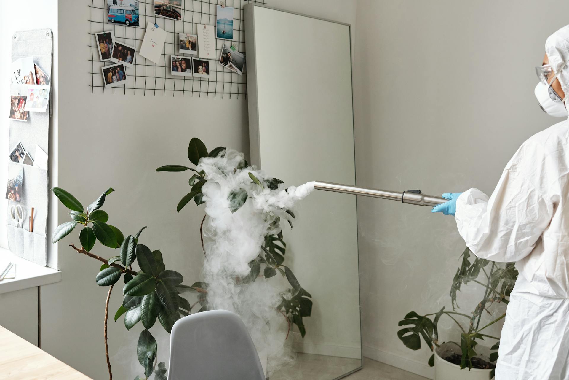 Odour Removal