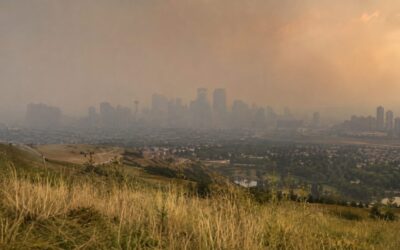 Wildfire Smoke Damage to Belongings Calgary: Save Guide