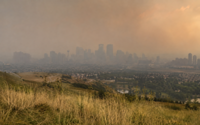 Wildfire Smoke Damage to Belongings Calgary: Save Guide